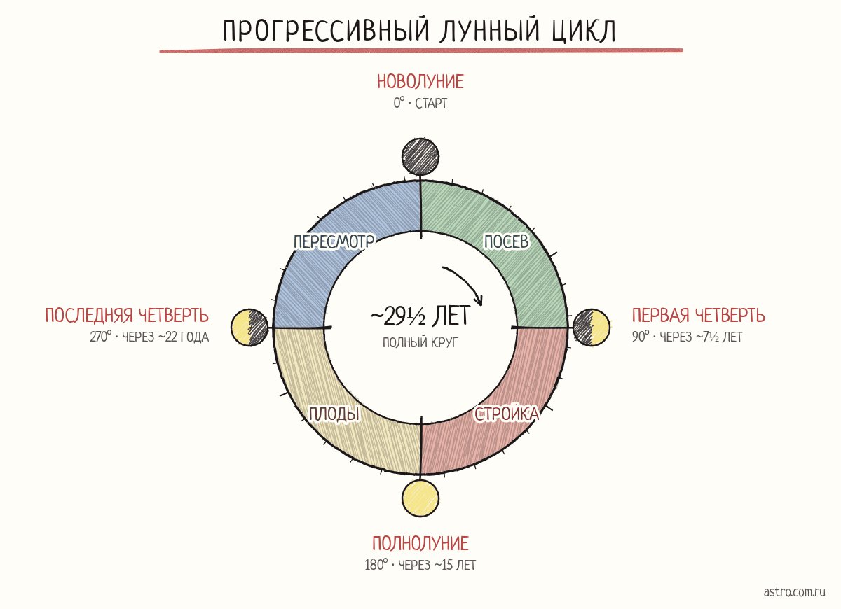 Круг прогрессивного лунного цикла: новолуние, первая четверть, полнолуние и последняя четверть с годами от начала цикла