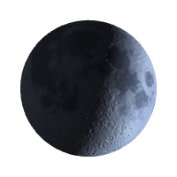 Первая четверть