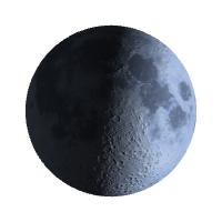 Первая четверть