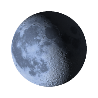 Первая четверть